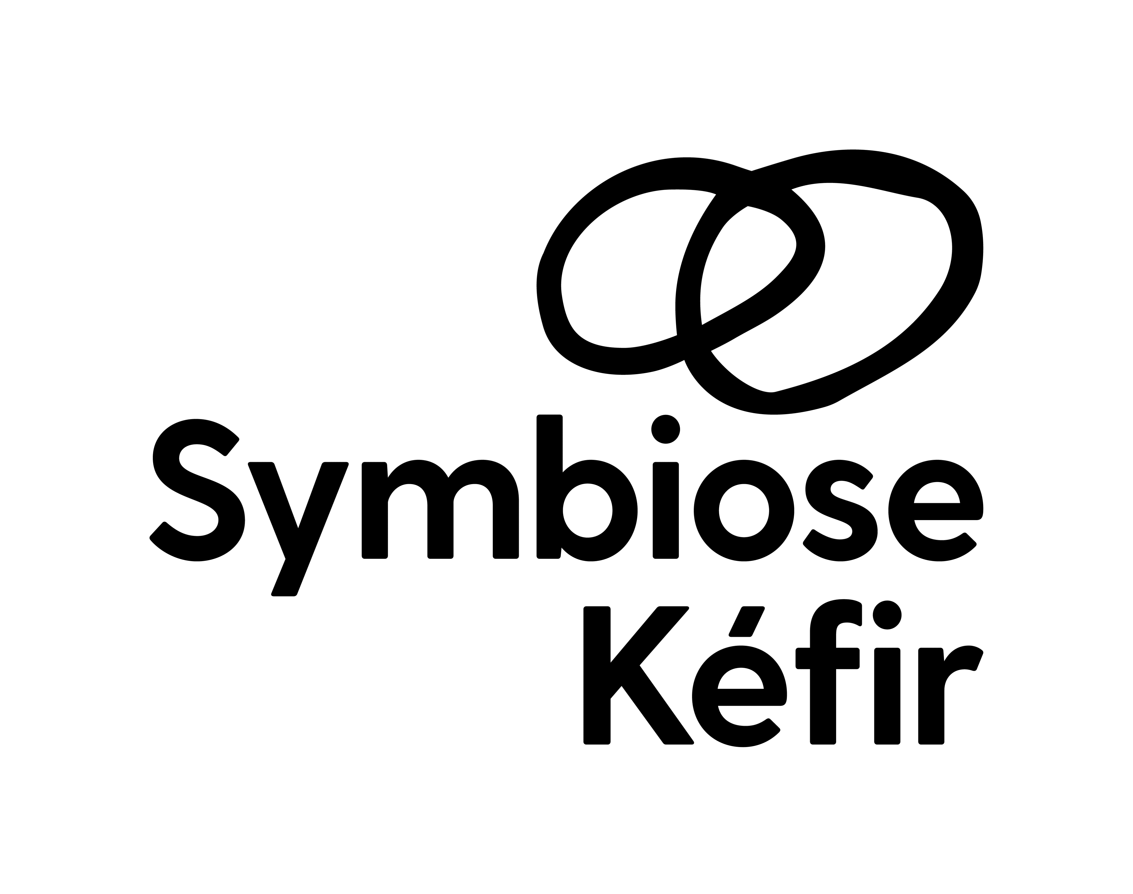 Symbiose Kéfir