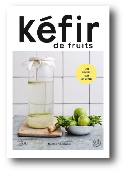 La recette du Kéfir de fruits Original (100% Authentique) Plan de travail