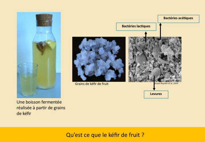 Kéfir Ensemble Infographie 1