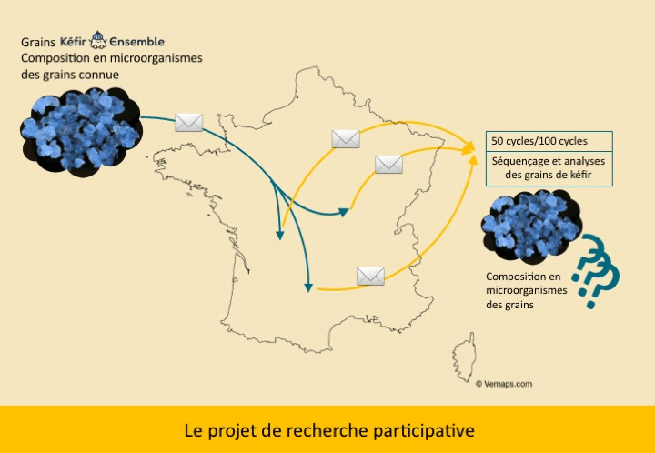 Kéfir Ensemble Infographie 3